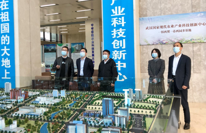 637cb19ee2623 6966集团-不凡成就非凡,相信品牌的力量