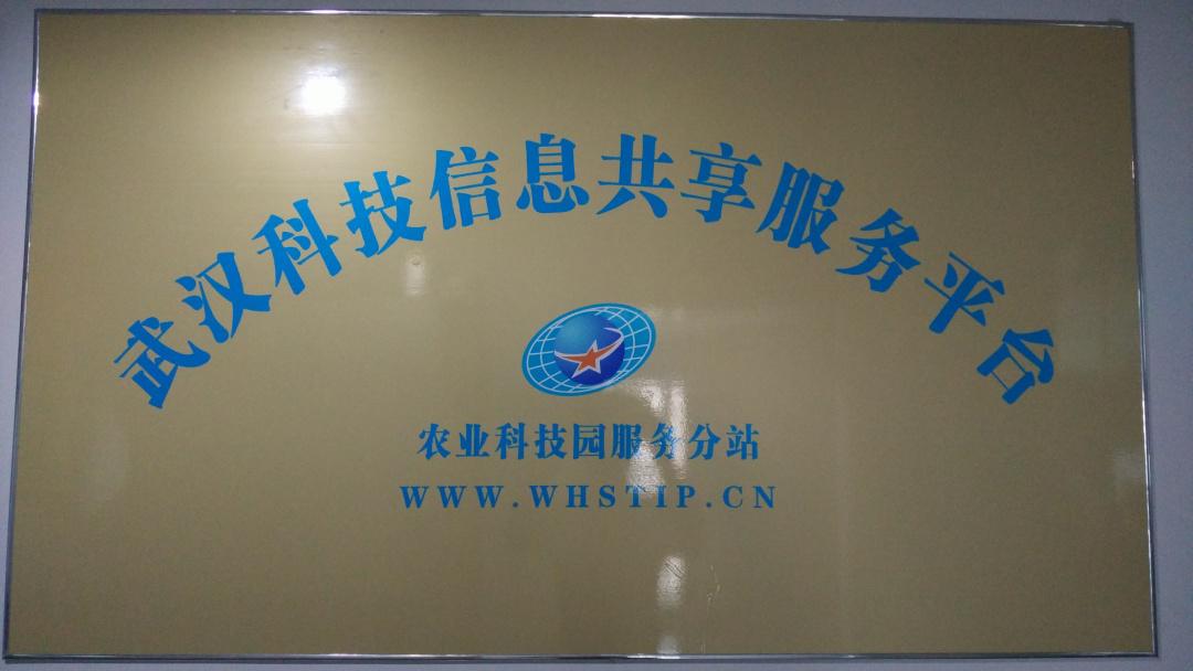 6966集团-不凡成就非凡,相信品牌的力量