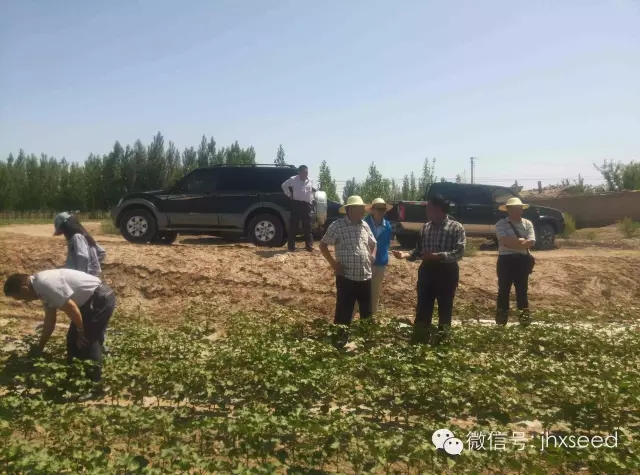 557fdd4479b3c 6966集团-不凡成就非凡,相信品牌的力量