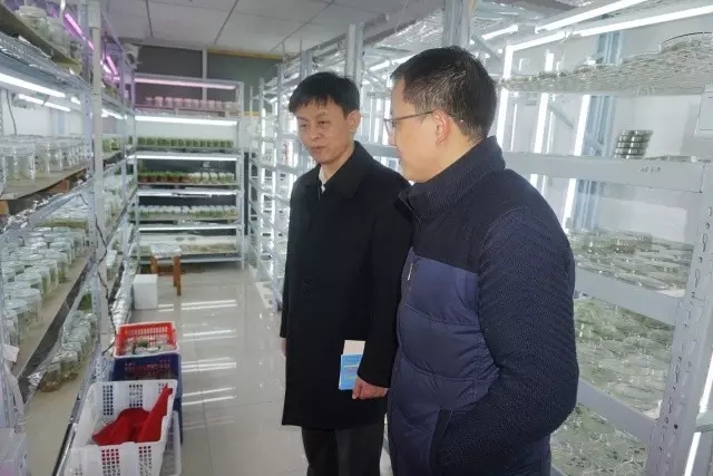6966集团-不凡成就非凡,相信品牌的力量