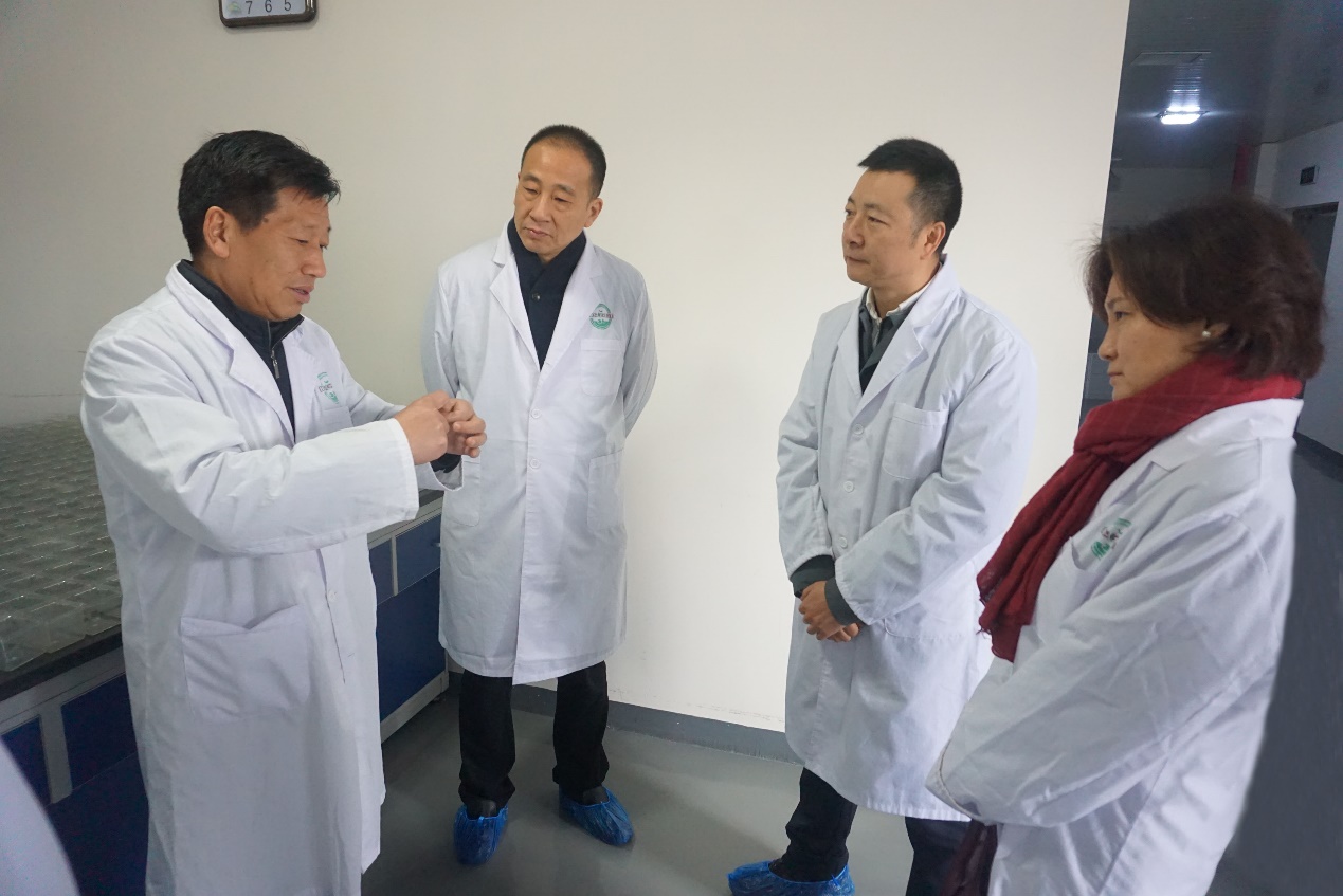 6966集团-不凡成就非凡,相信品牌的力量