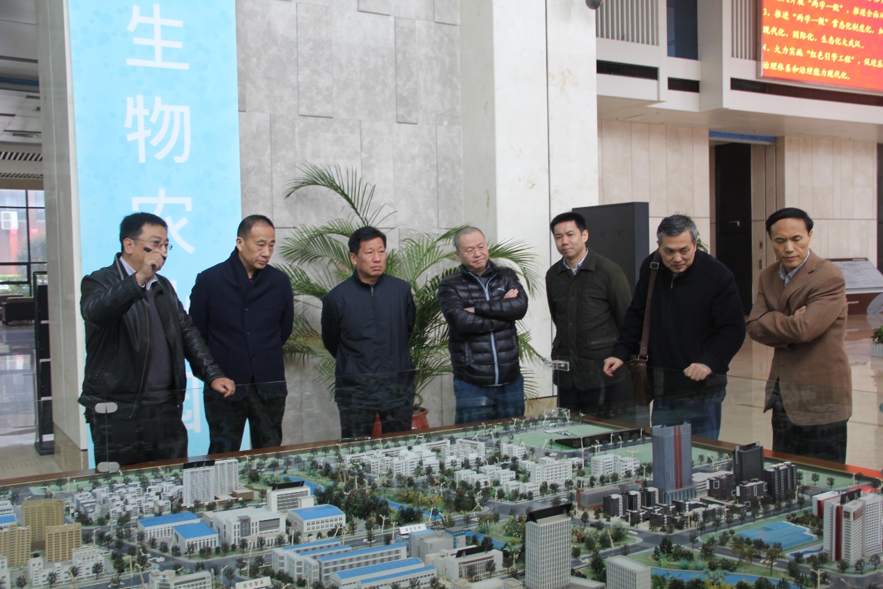6966集团-不凡成就非凡,相信品牌的力量