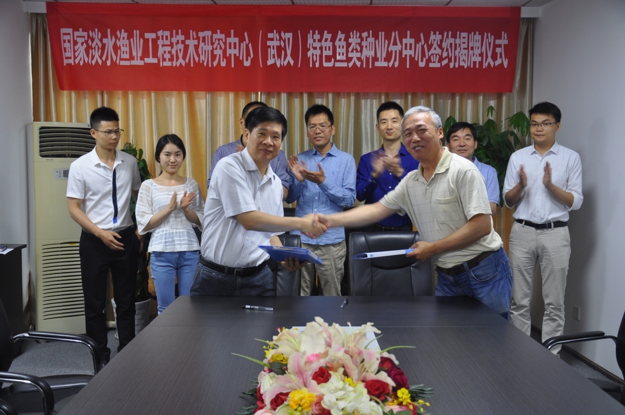 6966集团-不凡成就非凡,相信品牌的力量