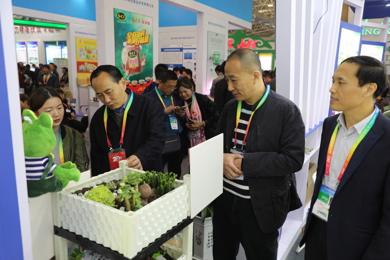 6966集团-不凡成就非凡,相信品牌的力量
