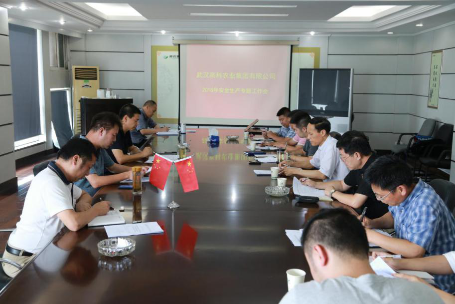 6966集团-不凡成就非凡,相信品牌的力量