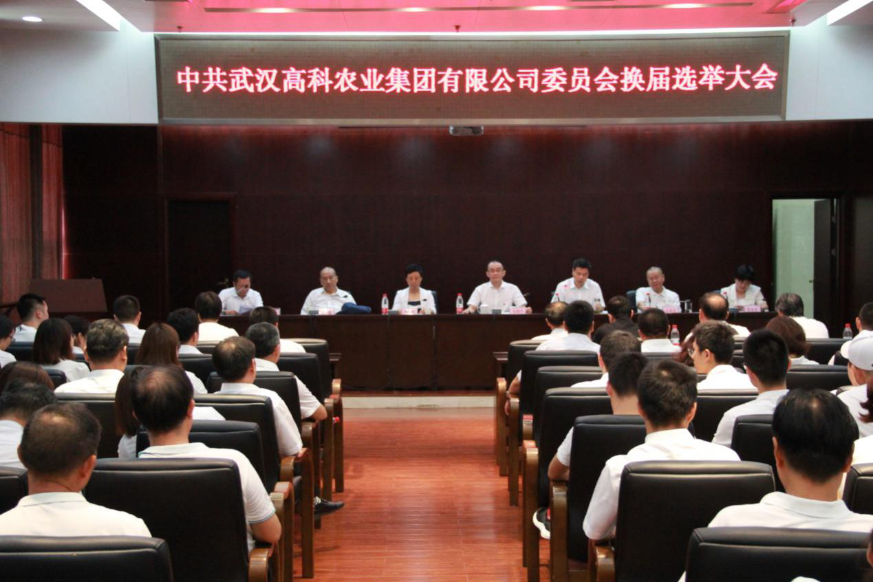 6966集团-不凡成就非凡,相信品牌的力量