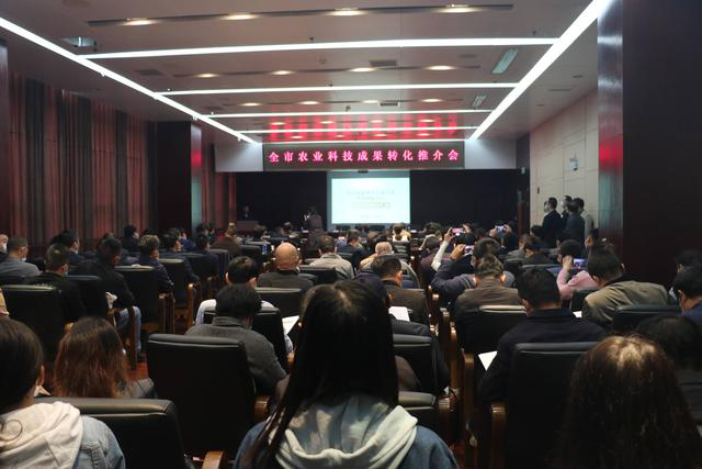 6966集团-不凡成就非凡,相信品牌的力量