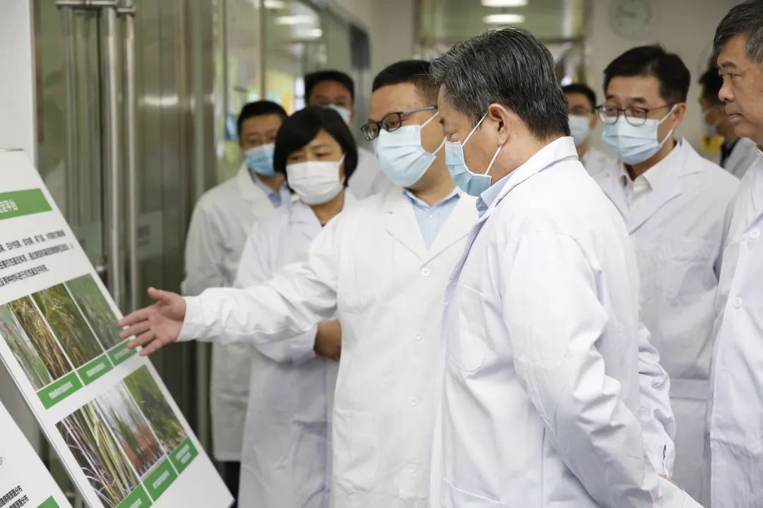 6966集团-不凡成就非凡,相信品牌的力量